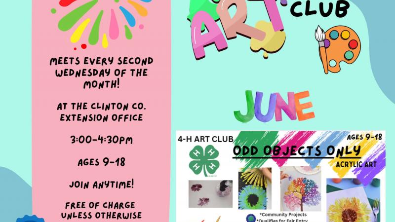 4-H Art Club June 2024